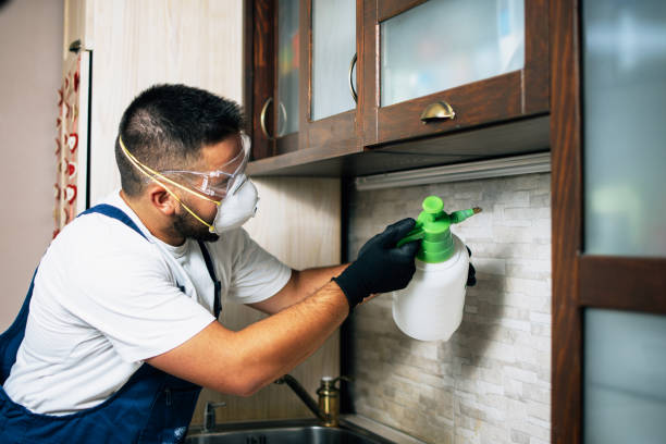 Flea Control Services in Tellico Village, TN