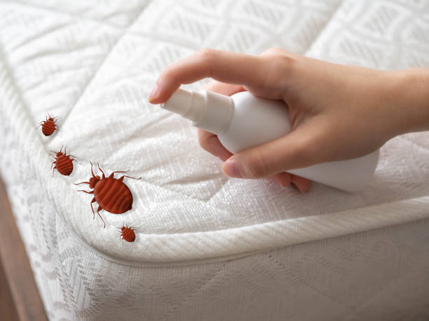 Best Pest Control for Restaurants  in Tellico Village, TN