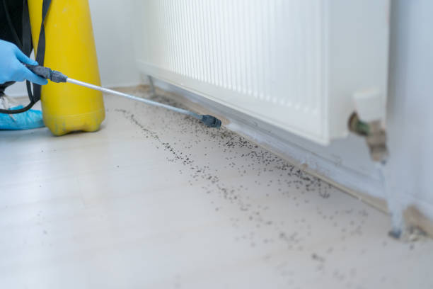 Best Cockroach Control Services  in Tellico Village, TN