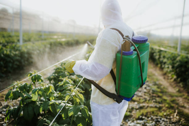 Best Bed Bug Extermination  in Tellico Village, TN